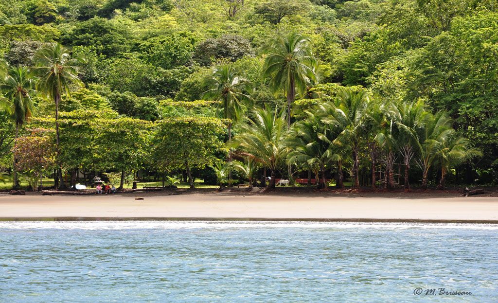 Île Coiba au Panama, forêt tropicale préservée bordant une plage isolée du Pacifique