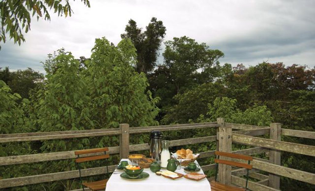 Table dressée pour le petit-déjeuner sur balcon en bois face à la canopée amazonienne péruvienne