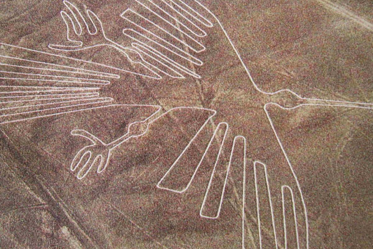 Vue aérienne du géoglyphe en forme de condor, lignes de Nazca, Pérou