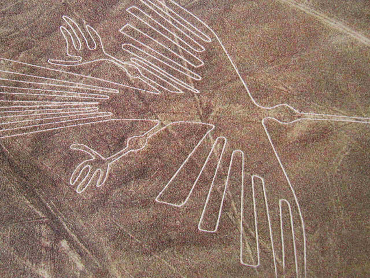 Vue aérienne du géoglyphe en forme de condor, lignes de Nazca, Pérou