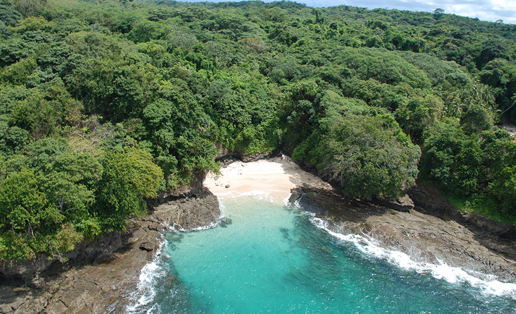 Vue aérienne d'une crique rocheuse entourée de forêt dense, eau turquoise, île de Saboga, Panama