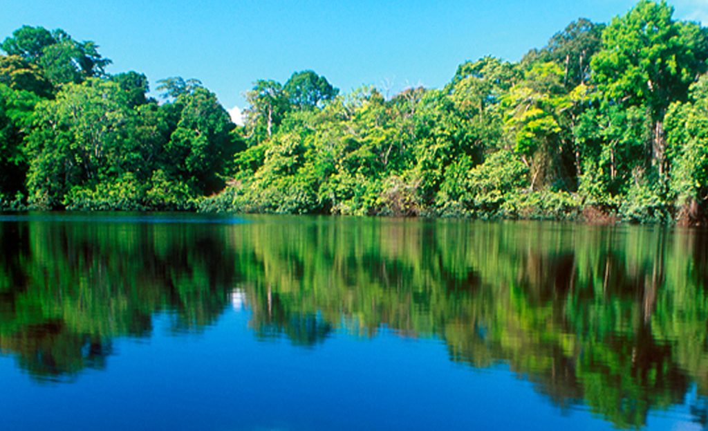 Canal navigable de Tortuguero bordé de forêt tropicale dense, Costa Rica