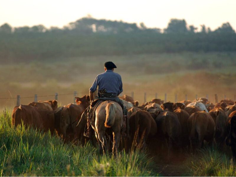 Voyage sur mesure en Uruguay
