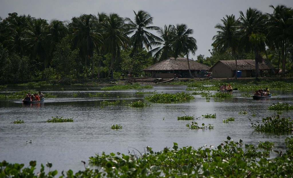 Plusieurs pirogues avec passagers sur un lagon bordé de palmiers et de cabanes traditionnelles, delta de l'Orénoque, Venezuela