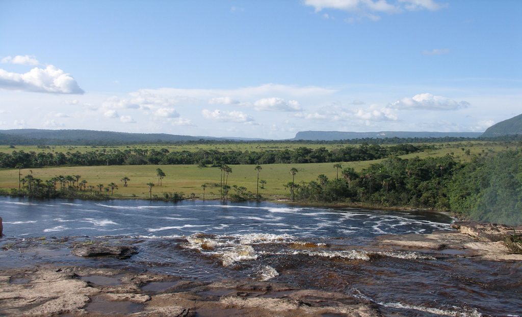 Rivière au sommet d'une cascade entourée de savane et de palmiers, Grande Savane, Venezuela