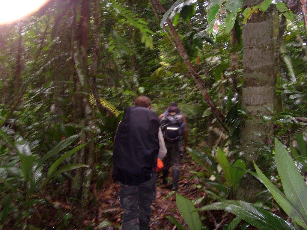 Amazonie - Homme marchant dans la jungle