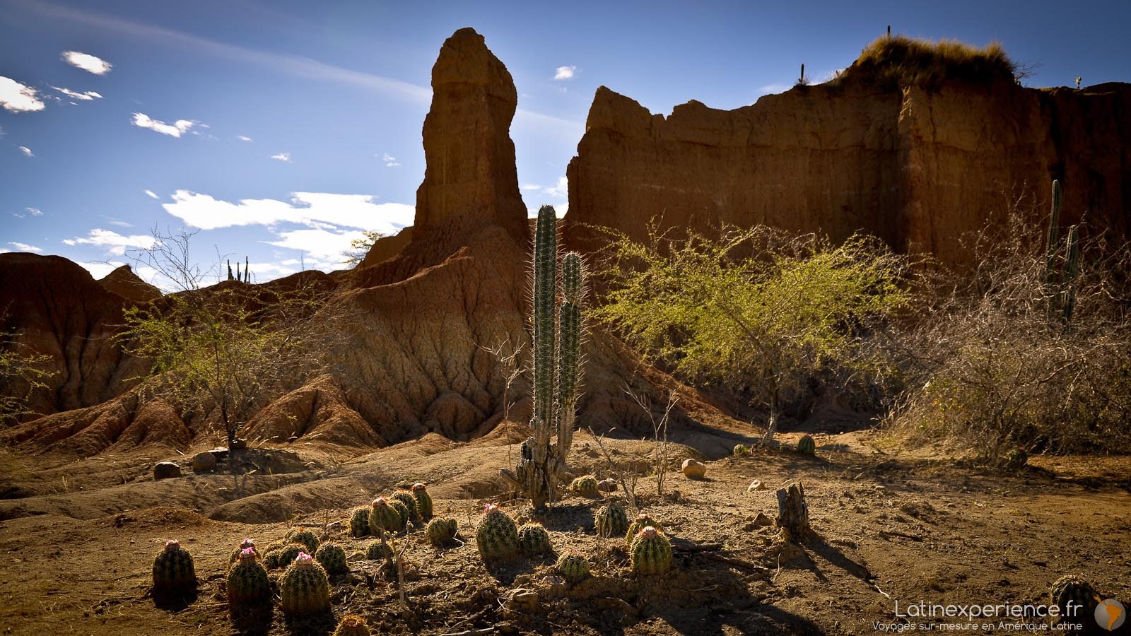 Colombie - Désert de Tatacoa - Cactus - Latinexperience voyages