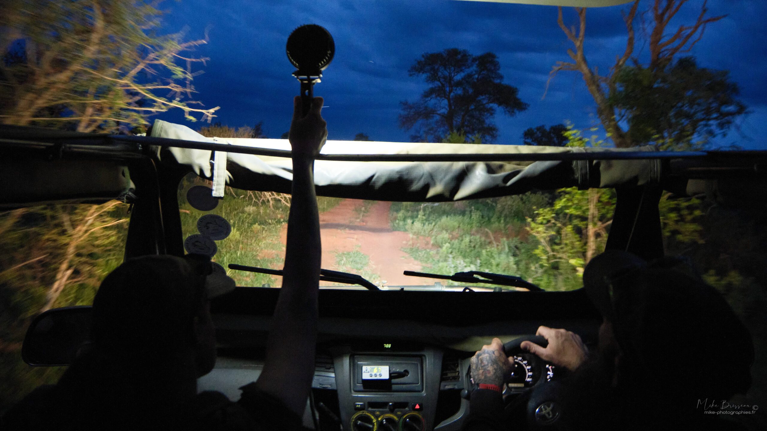 Voyage Afrique du Sud-Safari nocturne
