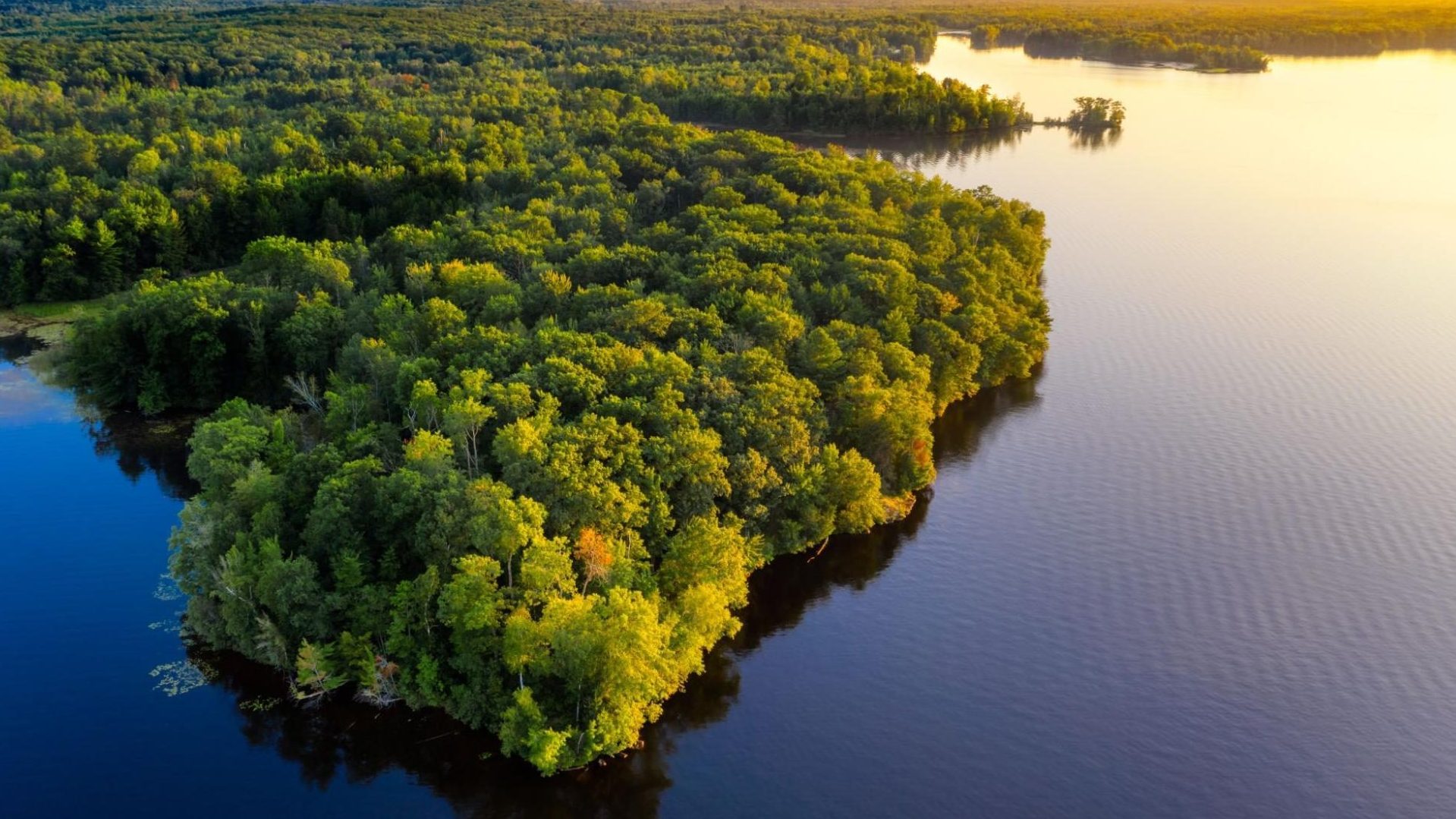 que faire en amazonie