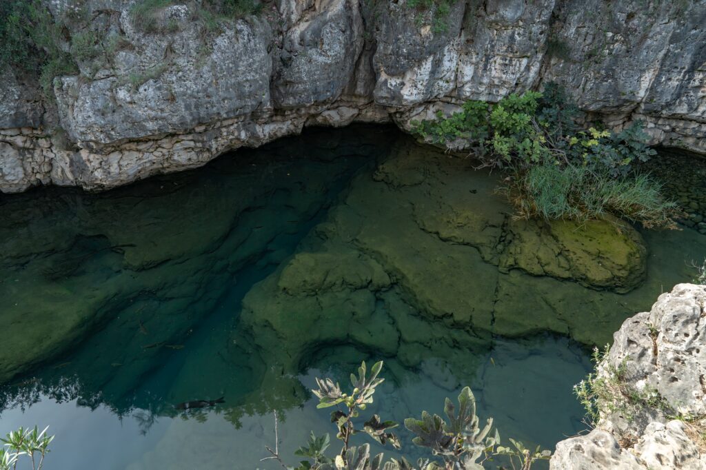 Flottaison sur la rivière Prata et observation des aras - Bonito, Brésil