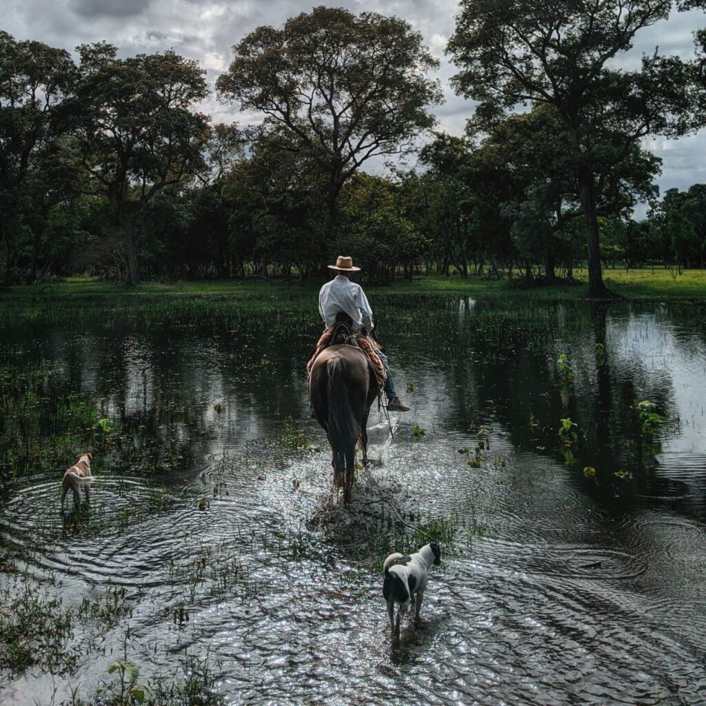 Brésil - Pantanal - Homme à cheval, safaris dans le Pantanal