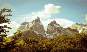 le Parc El Paine au Chili