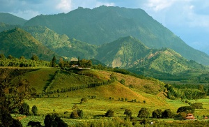 Colombie - Quindio - café - hacienda Bambusa