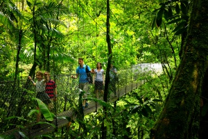 Costa-Rica-Arenal-ponts-suspendus