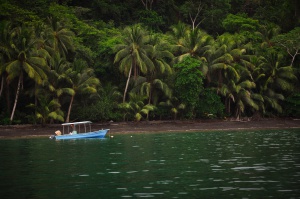 Costa Rica - Golfo Dulce