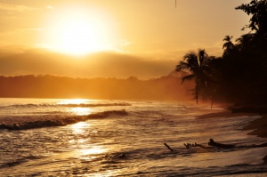 Costa-Rica-Parc-National-de-Cahuita