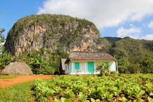 Cuba-vallée-de-Viñales