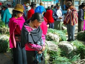 Equateur - Marché d'Otavalo - Latinexperience