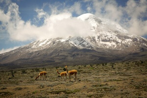 Equateur- Route des Volcans