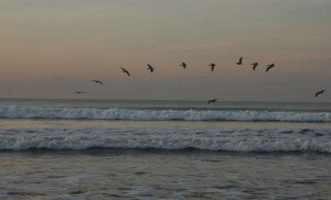 Hôtel Beso del Viento. Playa Palo Seco au Costa Rica