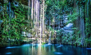 Mexique - les Cenotes du Yucatan