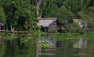 Venezuela-Delta-de-Orenoque