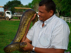 Venezuela - Los-Llanos