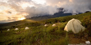 Venezuela - trek Roraima