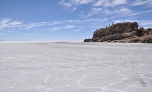 Bolivie - Salar d'Uyuni - Ile Incahuasi