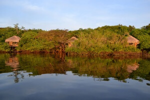 Bresil - Amazonie - Juma lodge