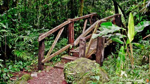 Nicaragua - Granada - Sentier volcan Mombacho