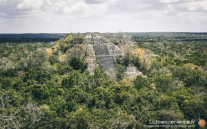 Mexique - Yucatan - Calakmul - Latinexperience voyages
