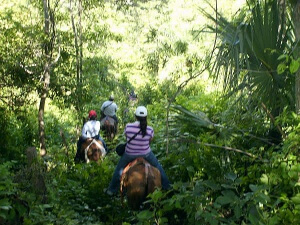 Nicaragua - Hato Nuevo - cheval