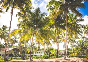 Rep Dominicaine - Las Terrenas - Casa Coson