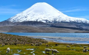 Chili - Volcan Chungara - Latinxperience