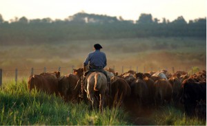 Uruguay - Gaucho