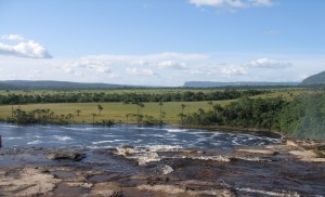 Venezuela - Grande Savane